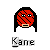 Kane masked